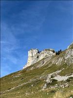 IMG_3205_1.jpg
